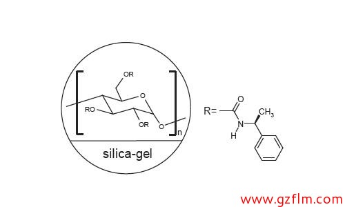 FLM Chiral NS(2) FLM Chiral NS(2)