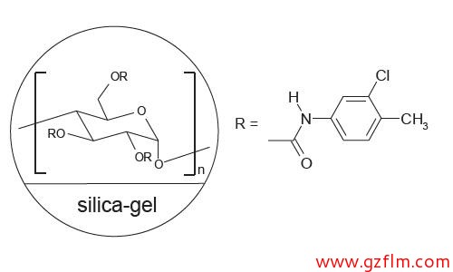 FLM Chiral NZ(2) FLM Chiral NZ(2)