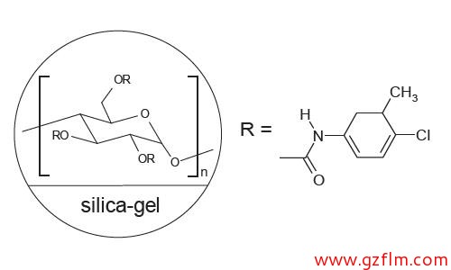 FLM Chiral NX(2) FLM Chiral NX(2)